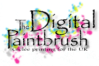 Digital Paintbrush web site